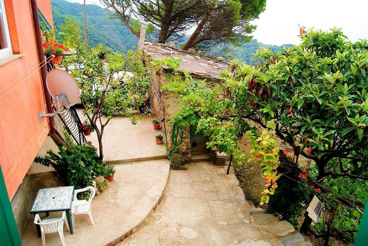 Chez Il Pino Διαμέρισμα Βερνάτσα Εξωτερικό φωτογραφία