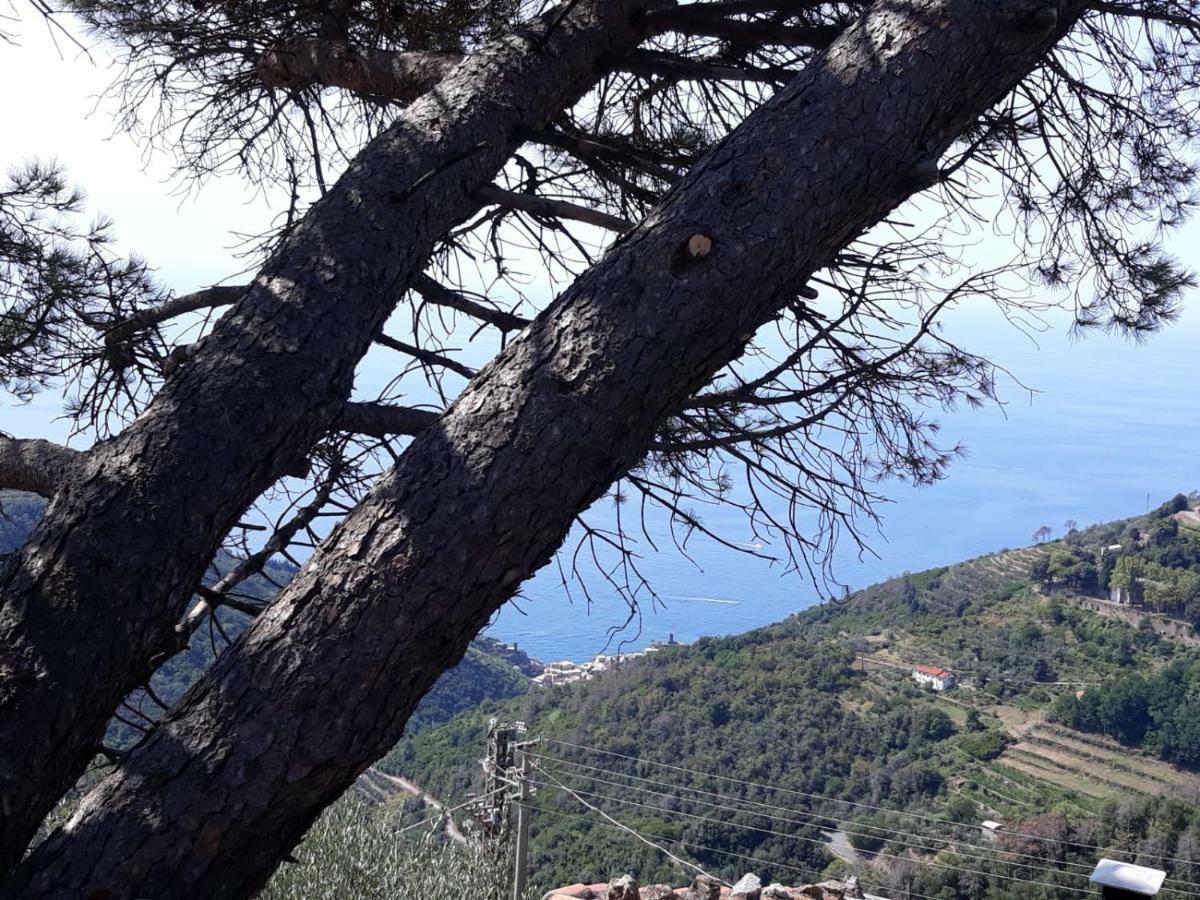 Chez Il Pino Διαμέρισμα Βερνάτσα Εξωτερικό φωτογραφία