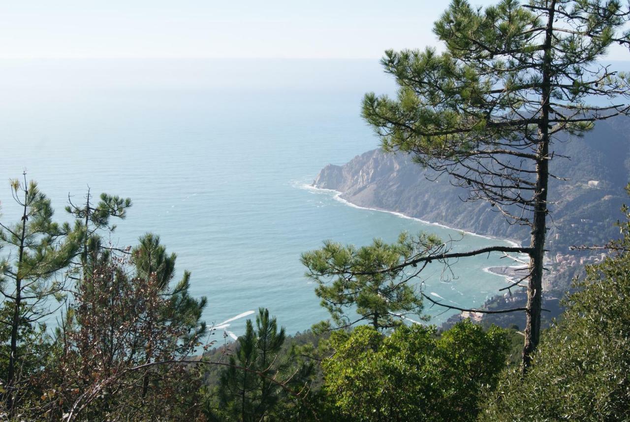 Chez Il Pino Διαμέρισμα Βερνάτσα Εξωτερικό φωτογραφία