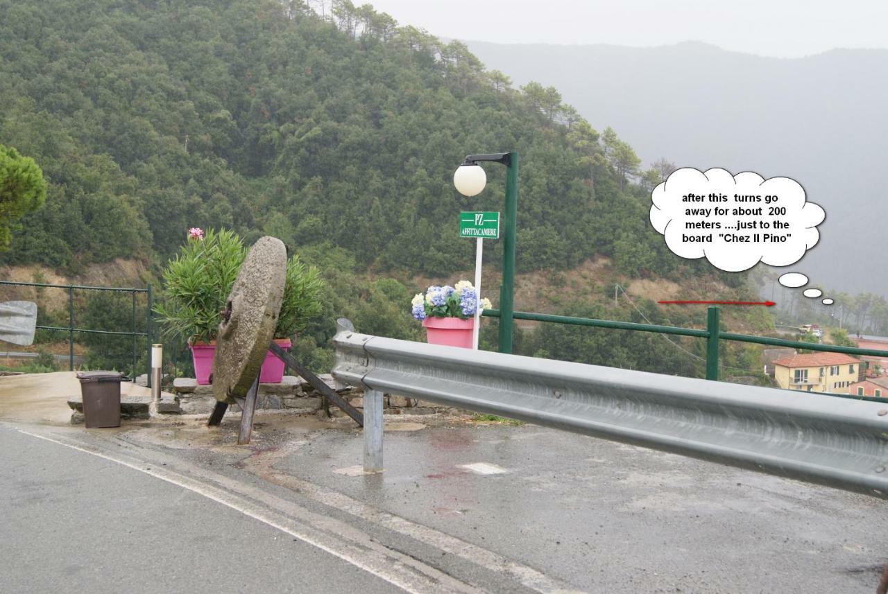 Chez Il Pino Διαμέρισμα Βερνάτσα Εξωτερικό φωτογραφία