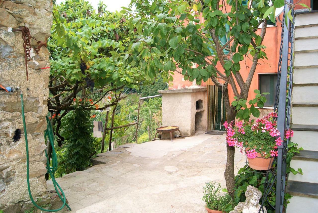 Chez Il Pino Διαμέρισμα Βερνάτσα Εξωτερικό φωτογραφία